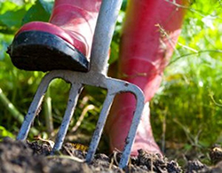 onsite-planting